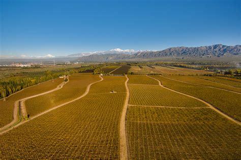 wine tours chile and argentina